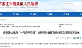 鹿泉问题最新爆料,真相与争议交织