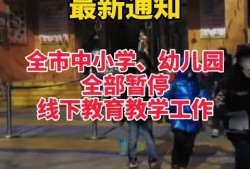 石家庄最新爆料新闻,揭秘某重大事件背后真相