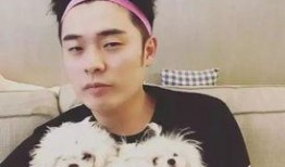 蒋萍综艺爆料最新消息,揭秘娱乐圈不为人知的幕后故事