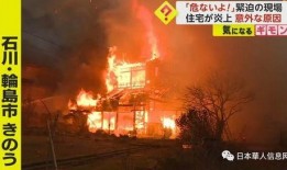 日本地震最新新闻爆料,多地受灾，救援行动全面展开