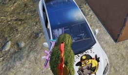 最新爆料车皮,车皮制造技术革新，引领汽车行业新潮流