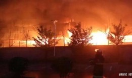 南阳最新爆料事件视频,视频揭露惊人真相，事件引发社会关注