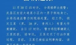 高校教师爆料视频大全最新,揭秘教育行业背后真相