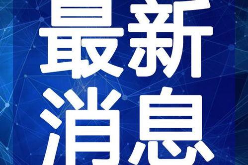 老李爆料老马最新视频,老李独家爆料背后的故事